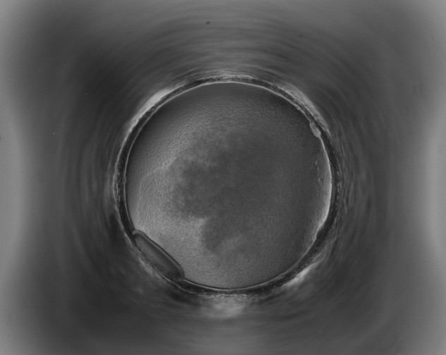 X0000086760893200704201743