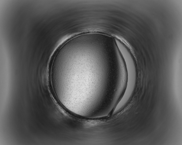 X0000086760894200704201743