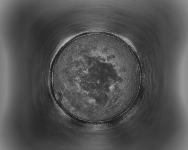 X0000086760895200704201743