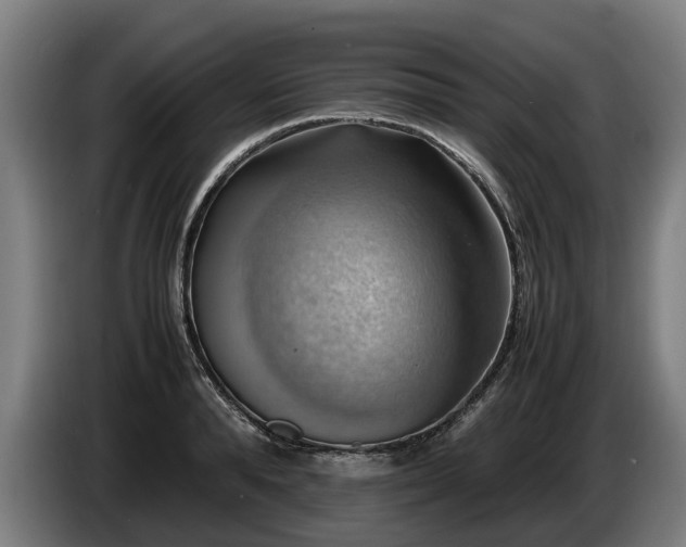 X0000086760896200704201743