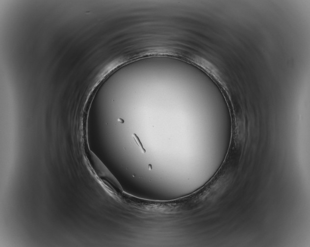 X0000086760898200704201743