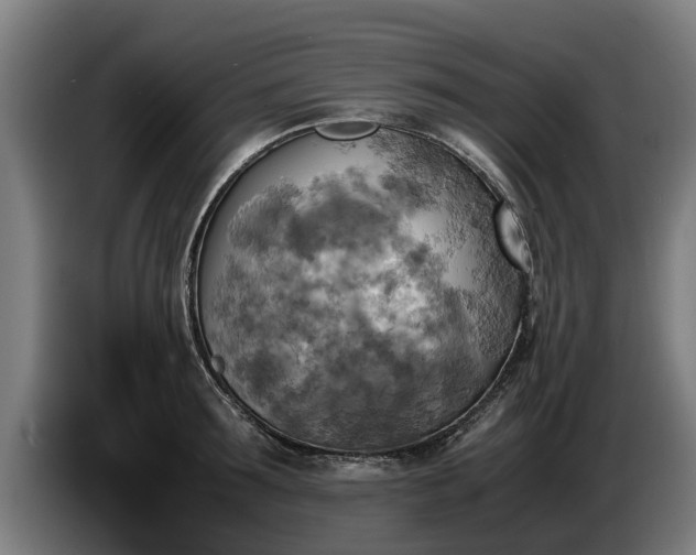 X0000086760899200704201743