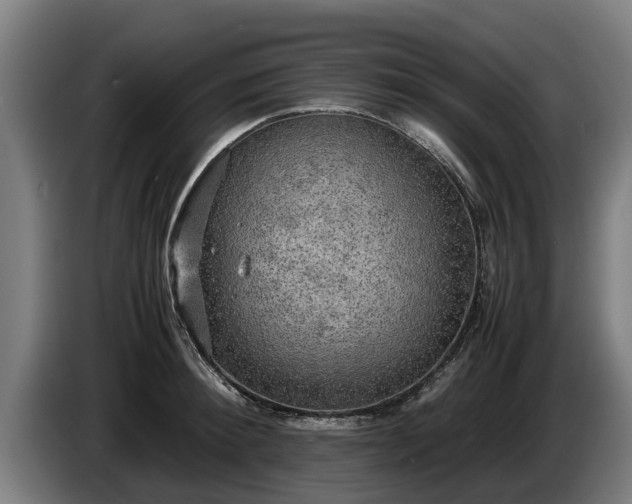 X0000086760900200704201743