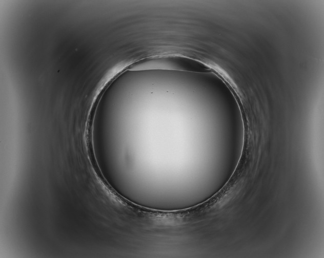 X0000086760901200704201743