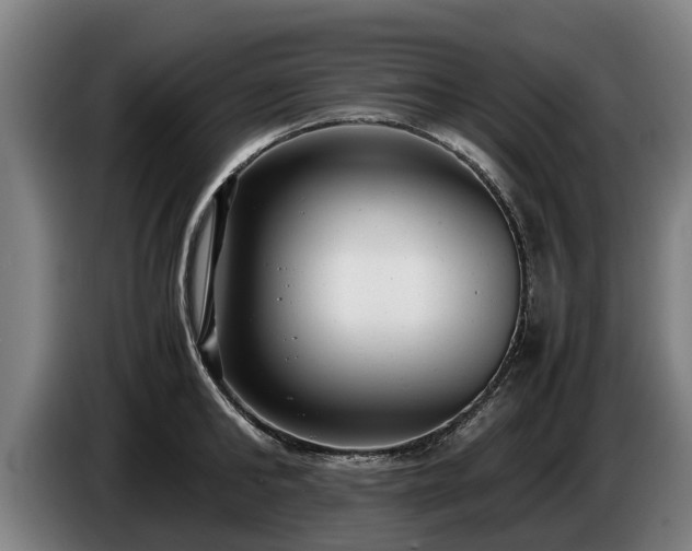 X0000086760902200704201743