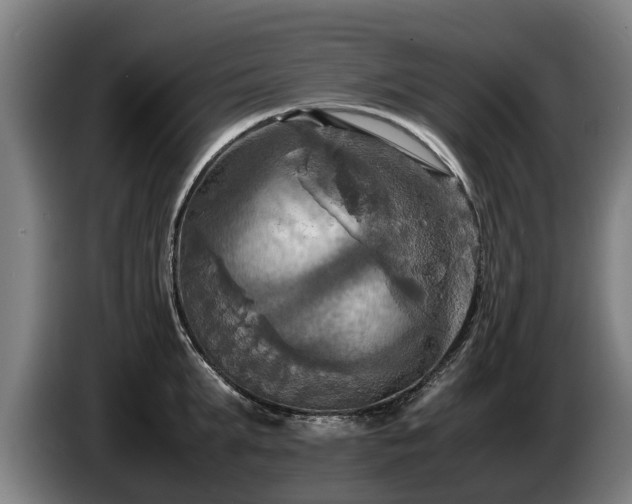 X0000086760903200704201743