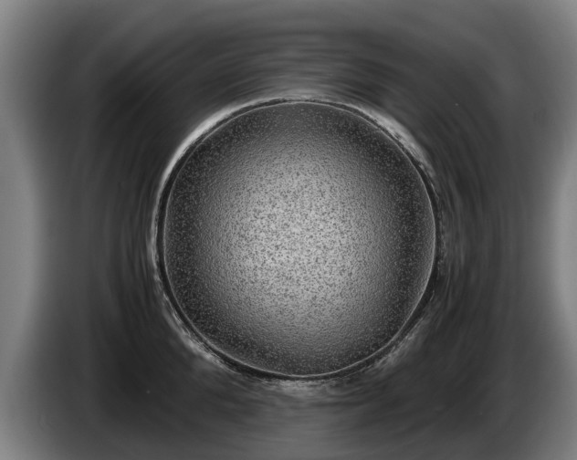 X0000086760904200704201743