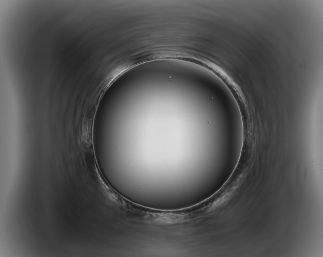 X0000086760905200704201743