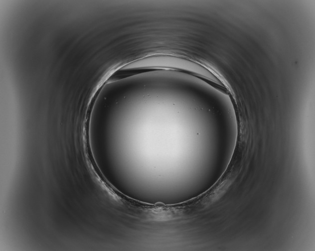 X0000086760906200704201743