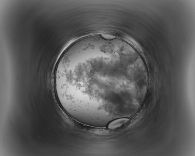 X0000086760907200704201743