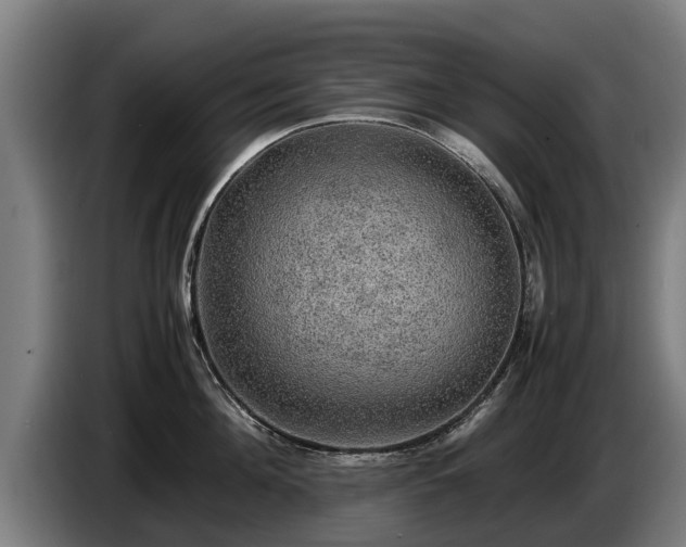 X0000086760908200704201743