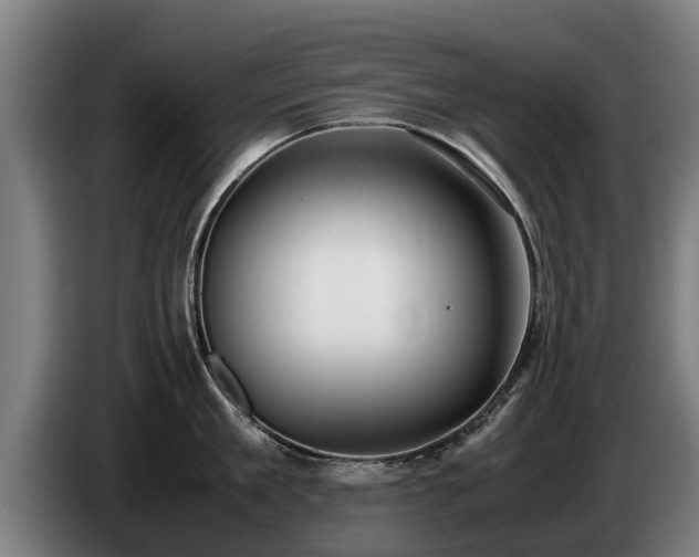 X0000086760909200704201743