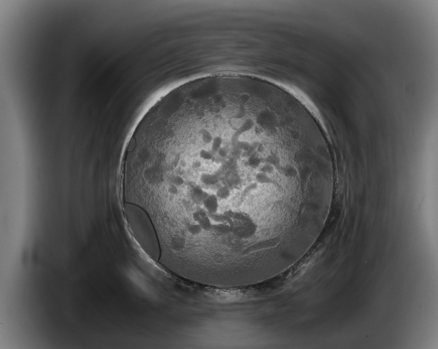 X0000086760911200704201742