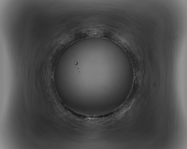 X0000086760913200704201742