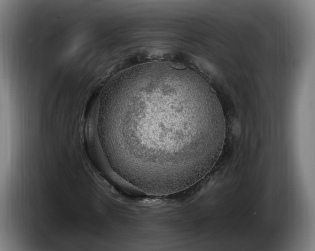 X0000086760914200704201742