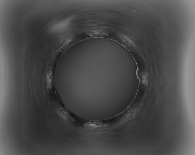 X0000086760915200704201742