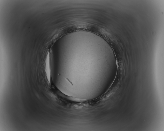 X0000086760916200704201742