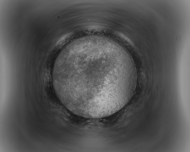 X0000086760918200704201742