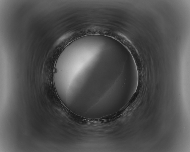 X0000086760919200704201742