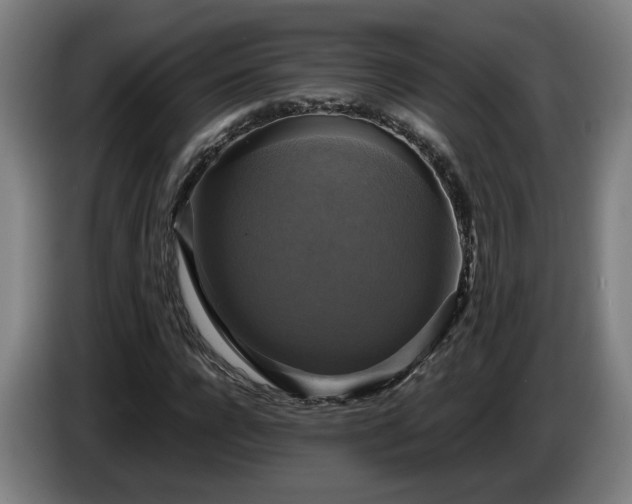 X0000086760920200704201742