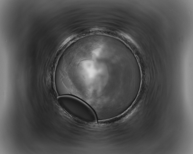 X0000086760921200704201742
