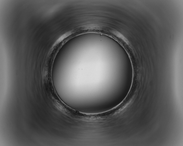 X0000086760922200704201742