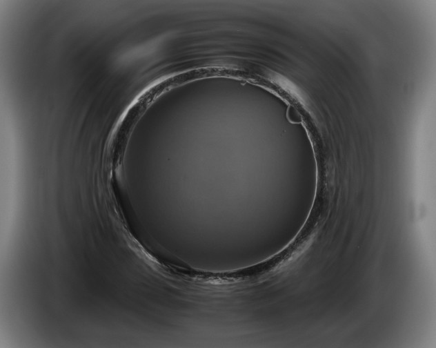 X0000086760923200704201742