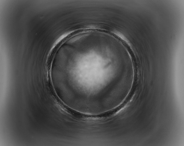 X0000086760925200704201742
