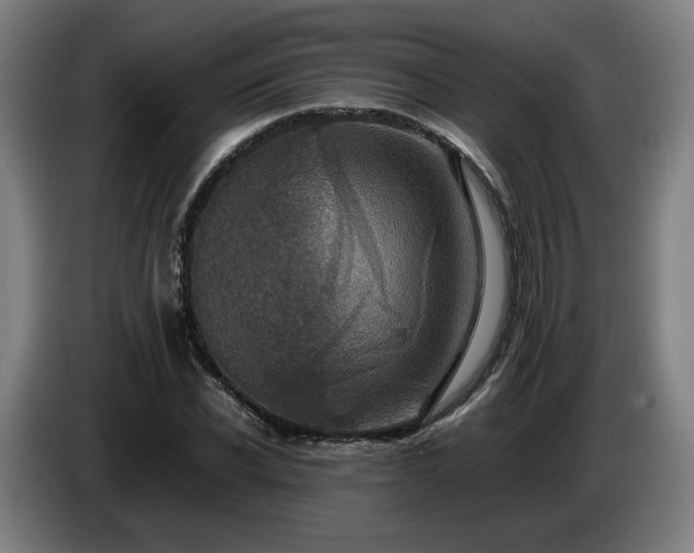 X0000086760926200704201742