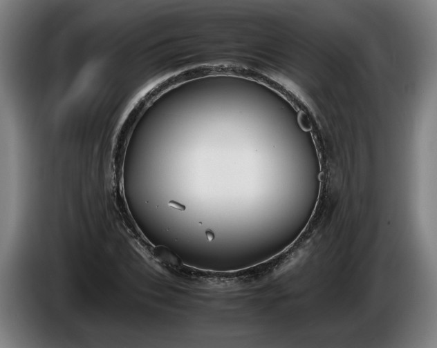 X0000086760927200704201742