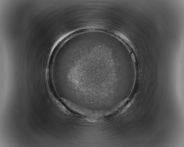 X0000086760928200704201742