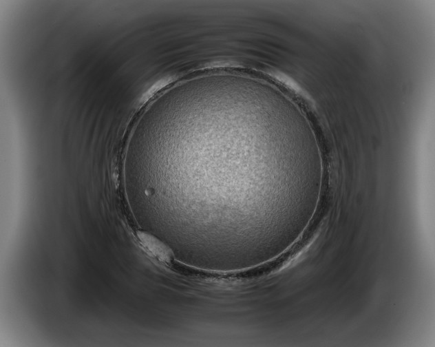 X0000086760929200704201742