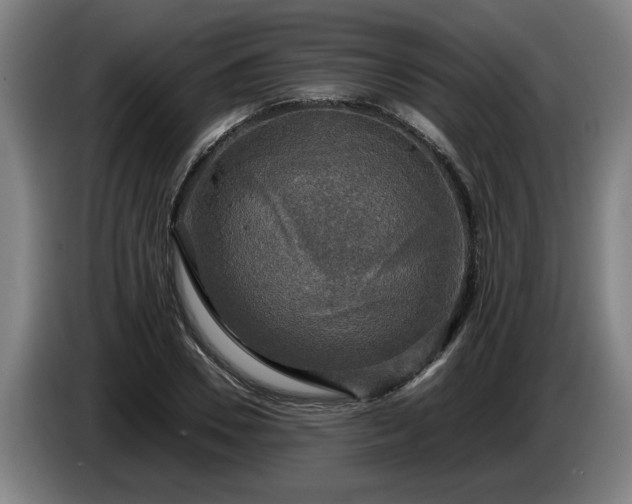 X0000086760930200704201742