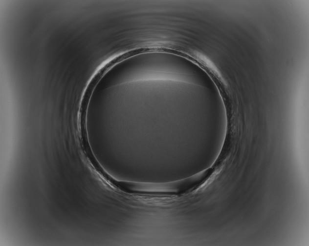 X0000086760932200704201742