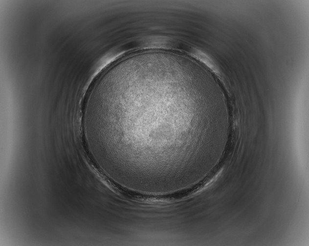 X0000086760933200704201742