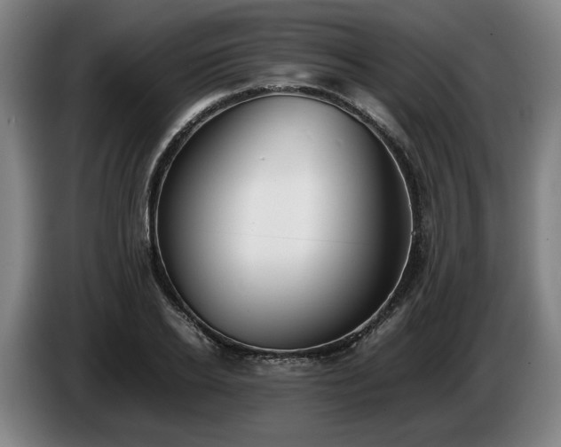 X0000086760934200704201742
