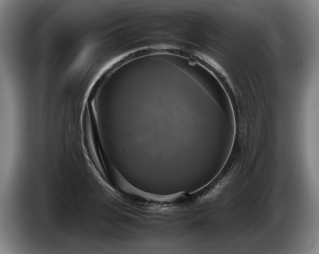 X0000086760935200704201742