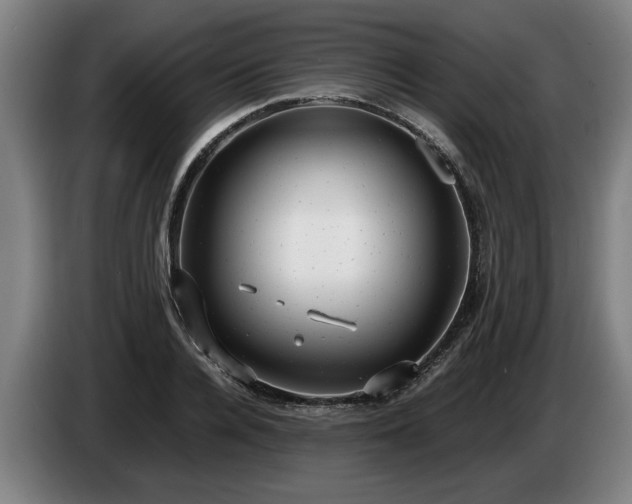 X0000086760936200704201742
