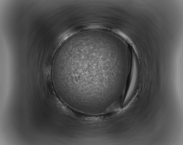 X0000086760937200704201742
