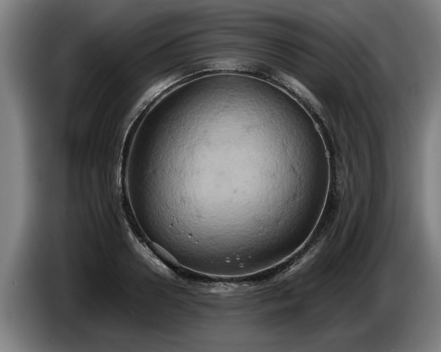 X0000086760938200704201742