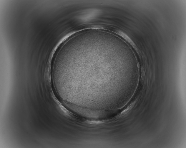 X0000086760939200704201742