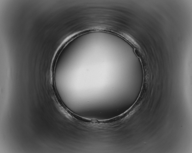 X0000086760940200704201742