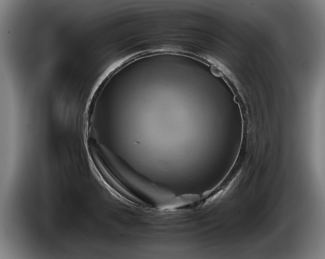 X0000086760941200704201742