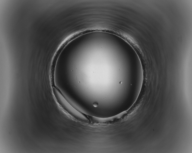 X0000086760942200704201742