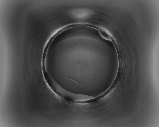 X0000086760943200704201742
