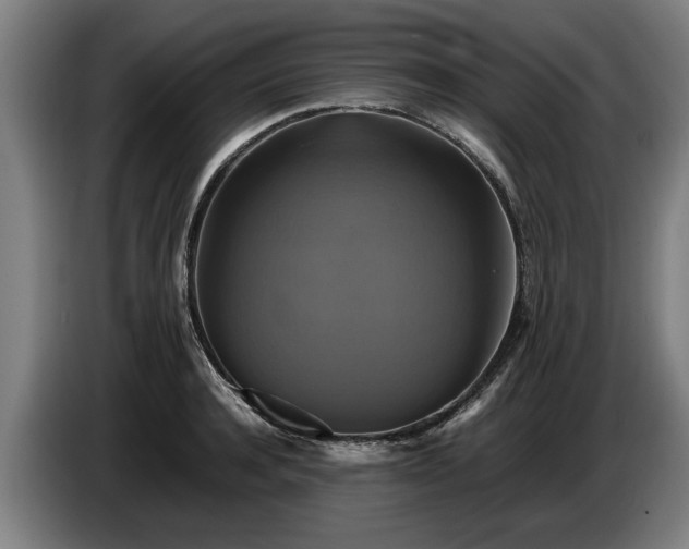 X0000086760944200704201742