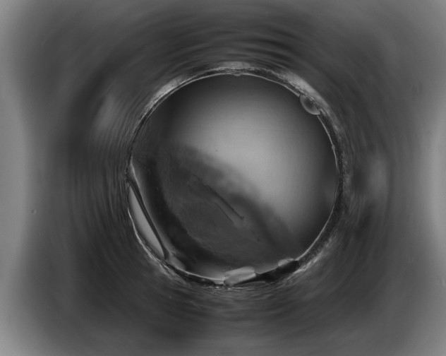 X0000086760945200704201742