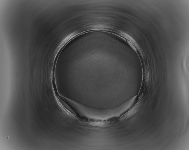 X0000086760946200704201742