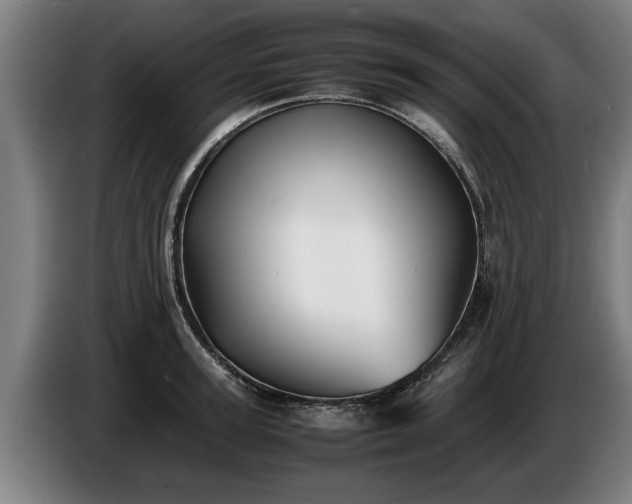 X0000086760947200704201742