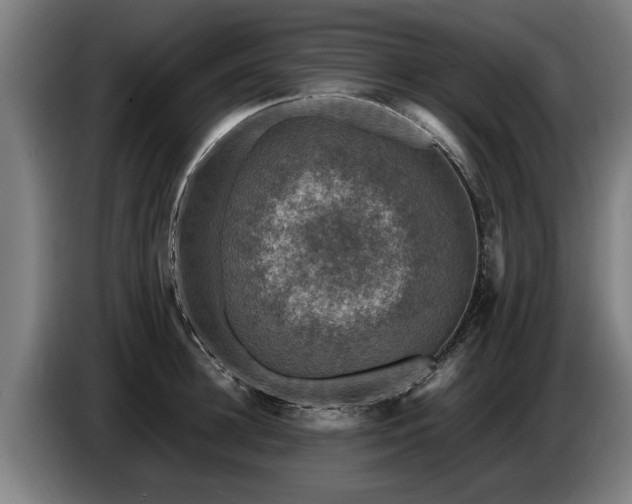 X0000086760948200704201742
